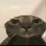 n5cnw2aeb1zffag5qtn7.jpg