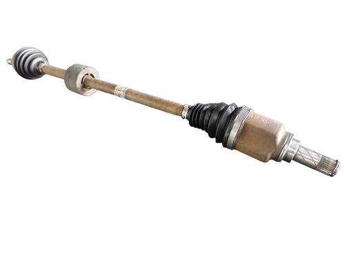 PhotoRoom 20231121 100150.png