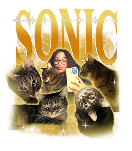 SONIC 3093000924.png