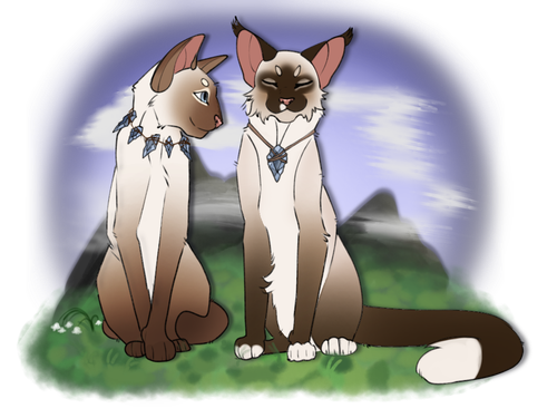 Untitled31 20231117134559.png