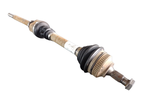 PhotoRoom 20231116 162403.png