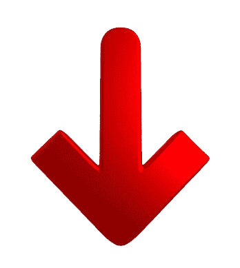 image removebg preview (1).png