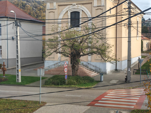 IMG 20231124 091838.jpg