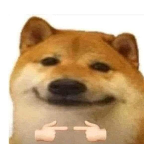 image.jpg