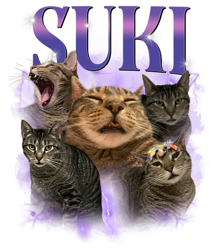 1.1.png