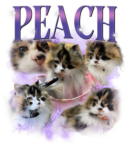 peach.png