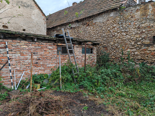 IMG 20231124 135156.jpg