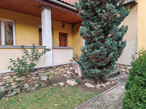 IMG 20231124 135323.jpg