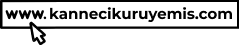 Group 17.png
