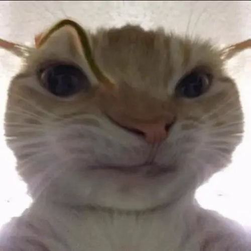 2587.png