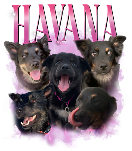 havana.png