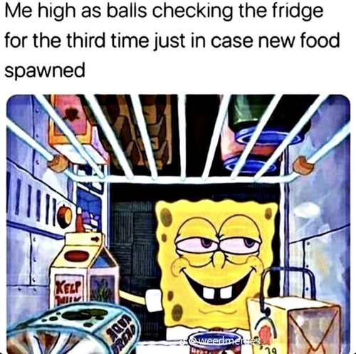 image 2023 11 22 030535078.png