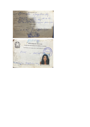 CARTEIRA DE TRABALHO E NÚMERO DE IDENTIFICAÇÃO SOCIAL 2.png