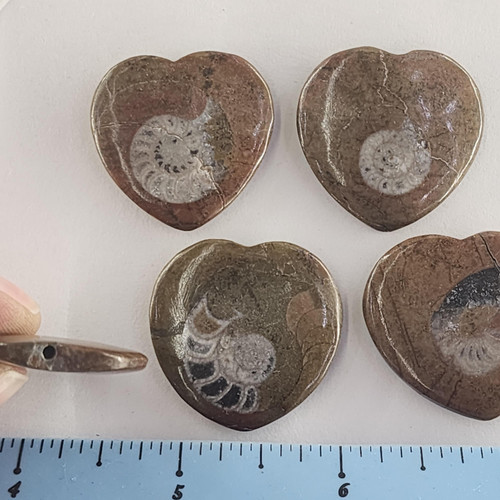 cropped 170061098842146024585247662447.jpg