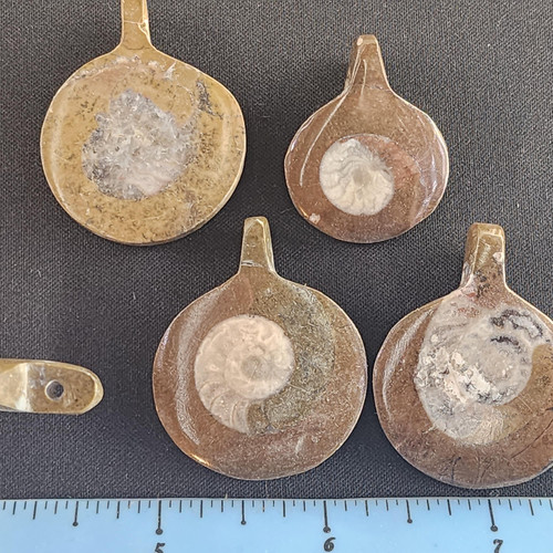 cropped 170060922026058061319357269768.jpg