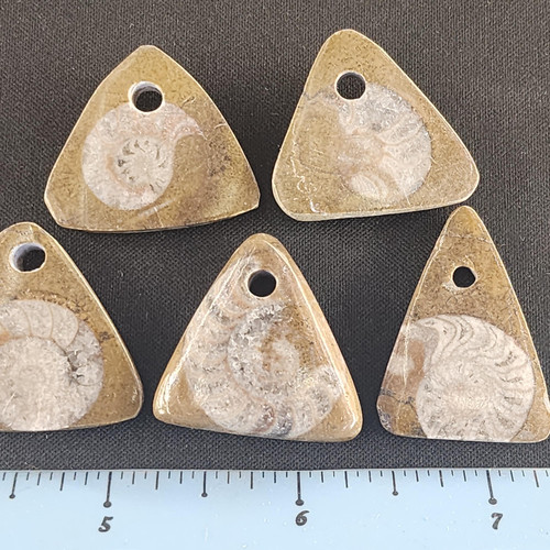 cropped 17006094837484818187747398402866.jpg