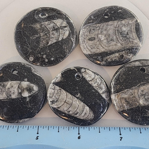 cropped 17006093310744473812362350960119.jpg