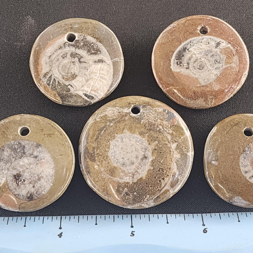 cropped 17006100275074518865648693040362.jpg