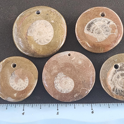 cropped 17006102941118426338089530178456.jpg