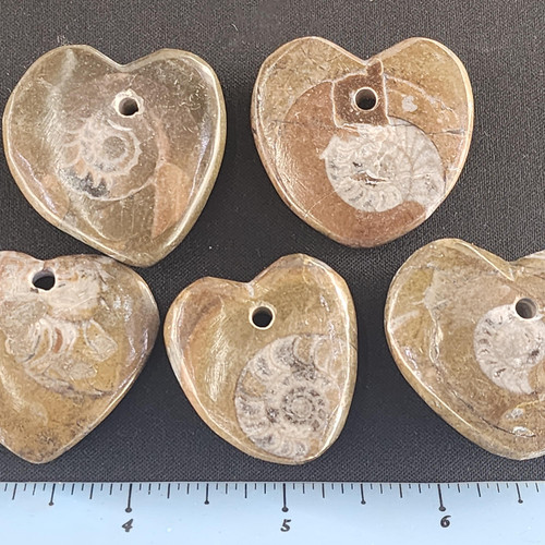 cropped 17006102130815829660798501777649.jpg