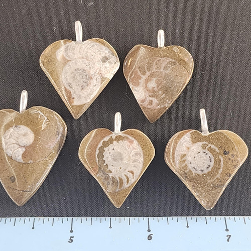 cropped 17006095803158689942530032945605.jpg