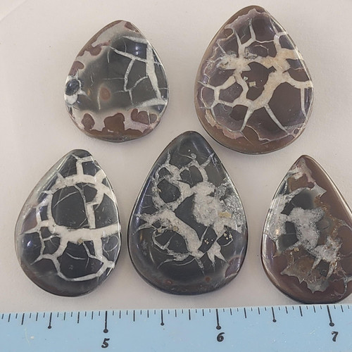 cropped 17006105628117205551907642830023.jpg