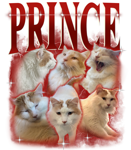 PRINCE.png