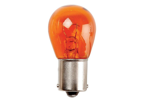 Amber 4.jpg