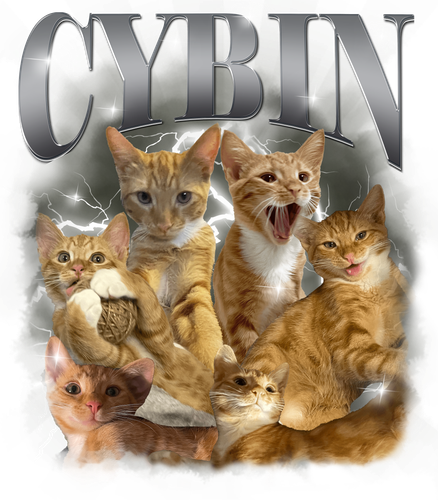 CYBIN.png