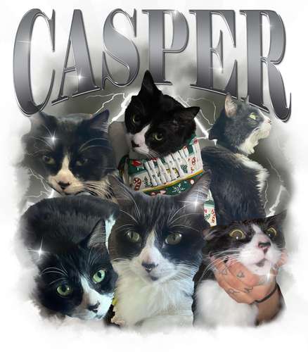 CASPER.png