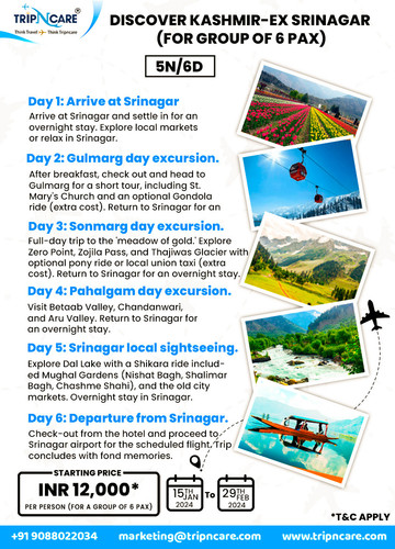 Discover the Beauty of Kashmir with Tripncare Group Tour Package.jpg