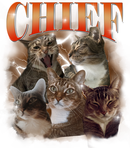 Chief.png