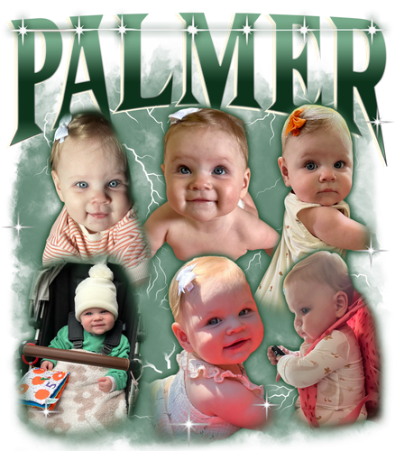 Palmer.png