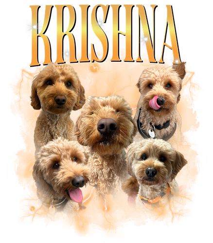 krishna.png