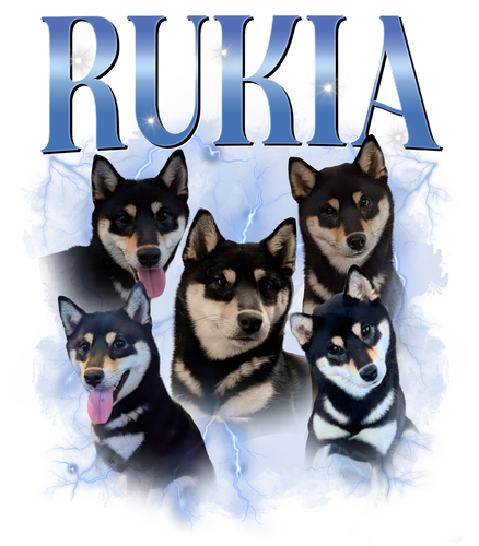 rukia.png