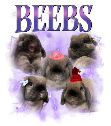 bêbs.png