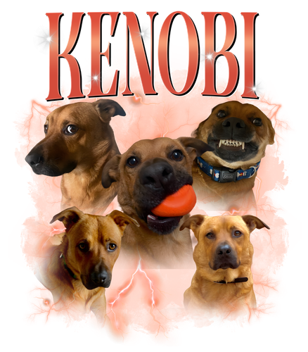 kenobi.png