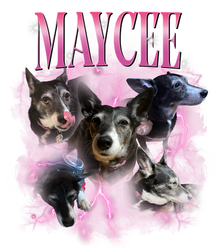 maycee.png