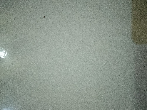 scaled 87a90410 ca42 45ac 97cd e05e1514f8f14747482738213705404.jpg