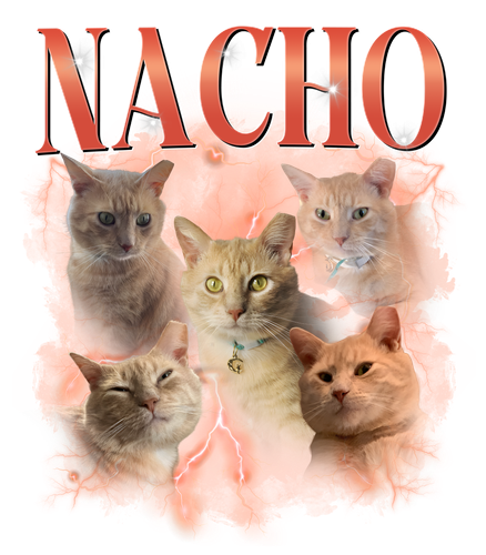 nacho.png