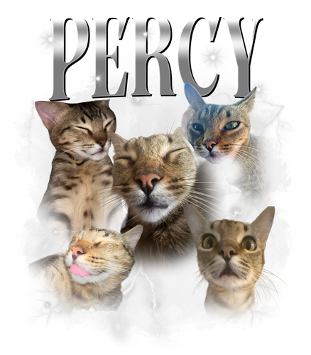pẻcy.png