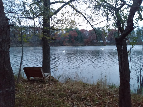 IMG 20231106 165939435.jpg