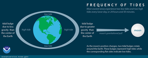 Tides and moon.jpg