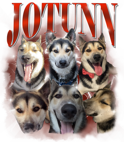 JOTUNN.png