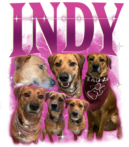 Indy.png