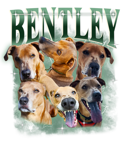 bentley.png