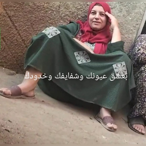 InCollage ٢٠٢٣١١٢٣ ١٥٥٢٥٥٣٤٢.jpg
