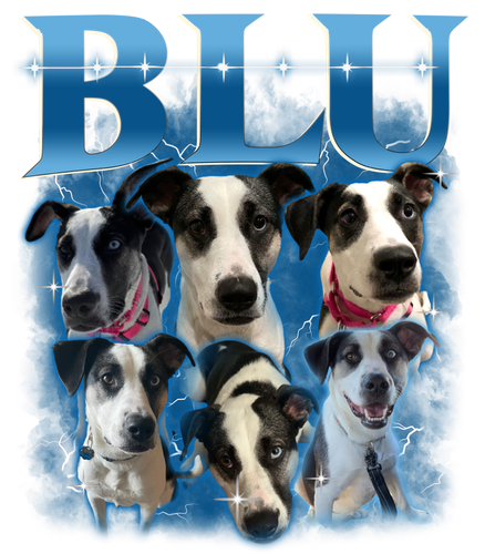 BLU.png