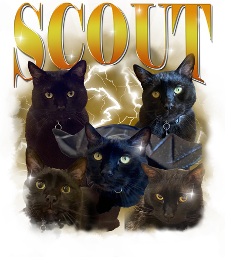scout.png