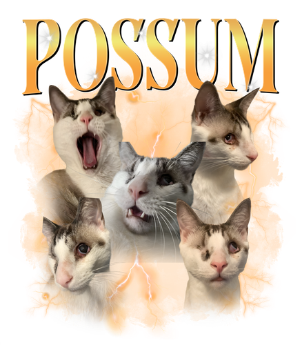 possum.png
